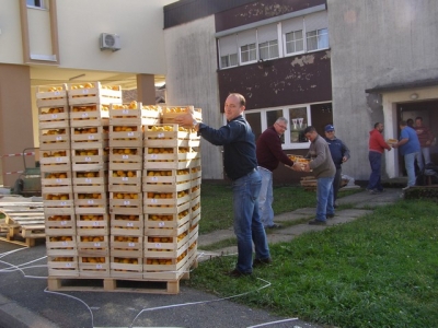 Mandarine iz donacije