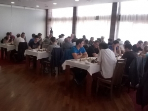 Mladi vole &scaron;ah