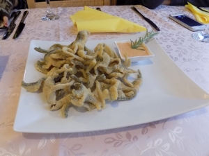 Talijanski novinari u Gare&scaron;nici