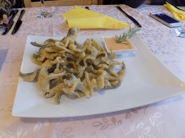 Talijanski novinari u Gare&scaron;nici