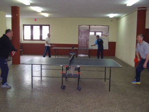 Turnir u stolnom tenisu