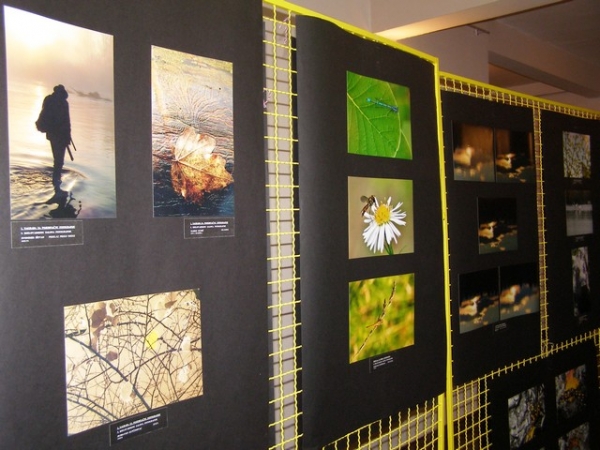 &bdquo;&Scaron;uma okom &scaron;umara&ldquo; u Gare&scaron;nici