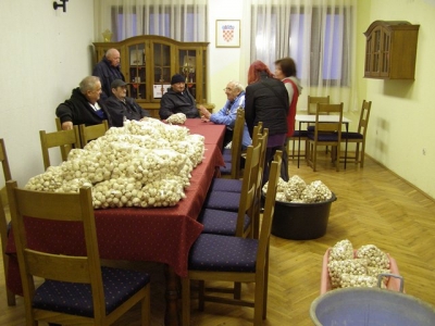 Gljive i u Brestovcu