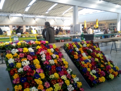 ZAKUP &Scaron;TANDOVA NA TRŽNICI