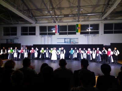 LADO U GARE&Scaron;NICI