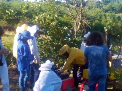 &Scaron;KOLSKI PČELINJAK U DI&Scaron;NIKU